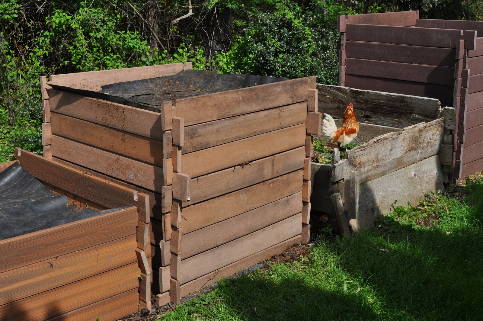 Shed Plan Software Easy Compost Bin Plans Wooden Plans
