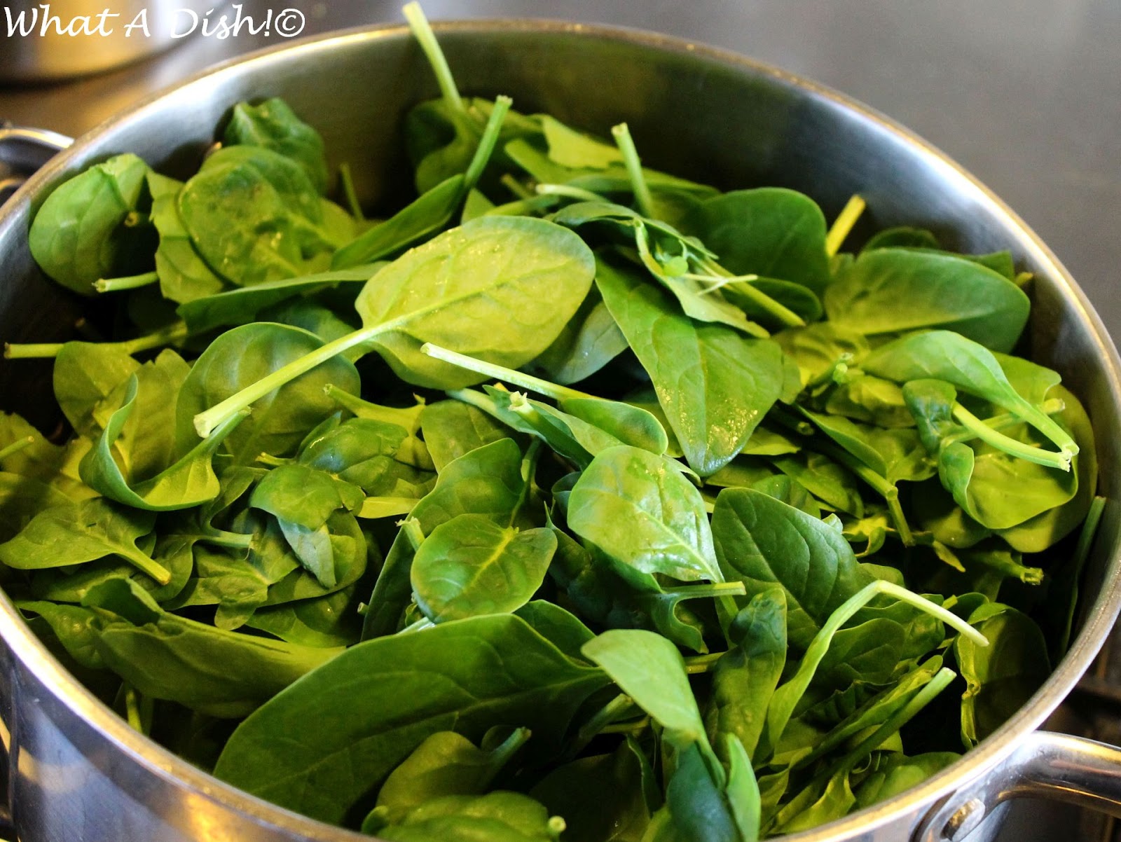 What A Dish! Iranian Yogurt & Spinach Dip Borani Esfanaaj
