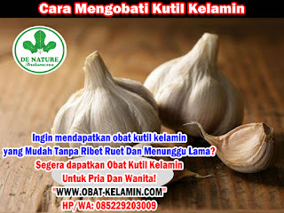 Semangat Cari Obat Penyembuh Kutil Kelamin 3/8 Hari Sembuh