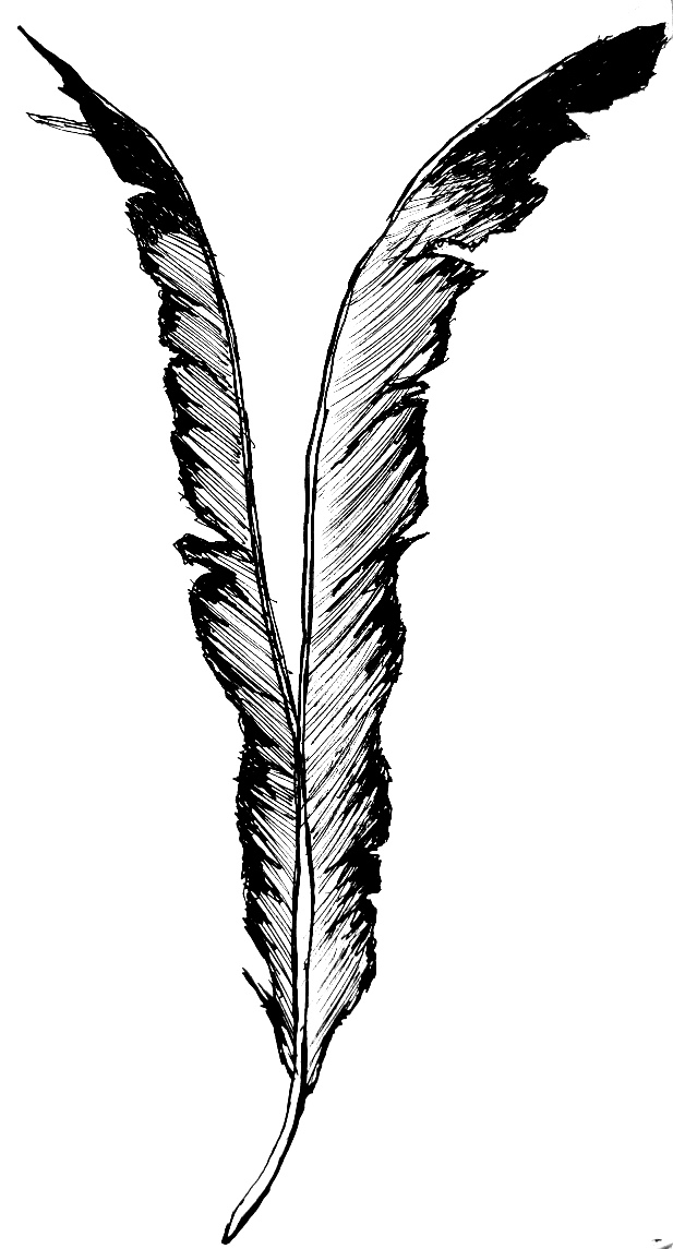 eagle feather coloring pages - photo #43