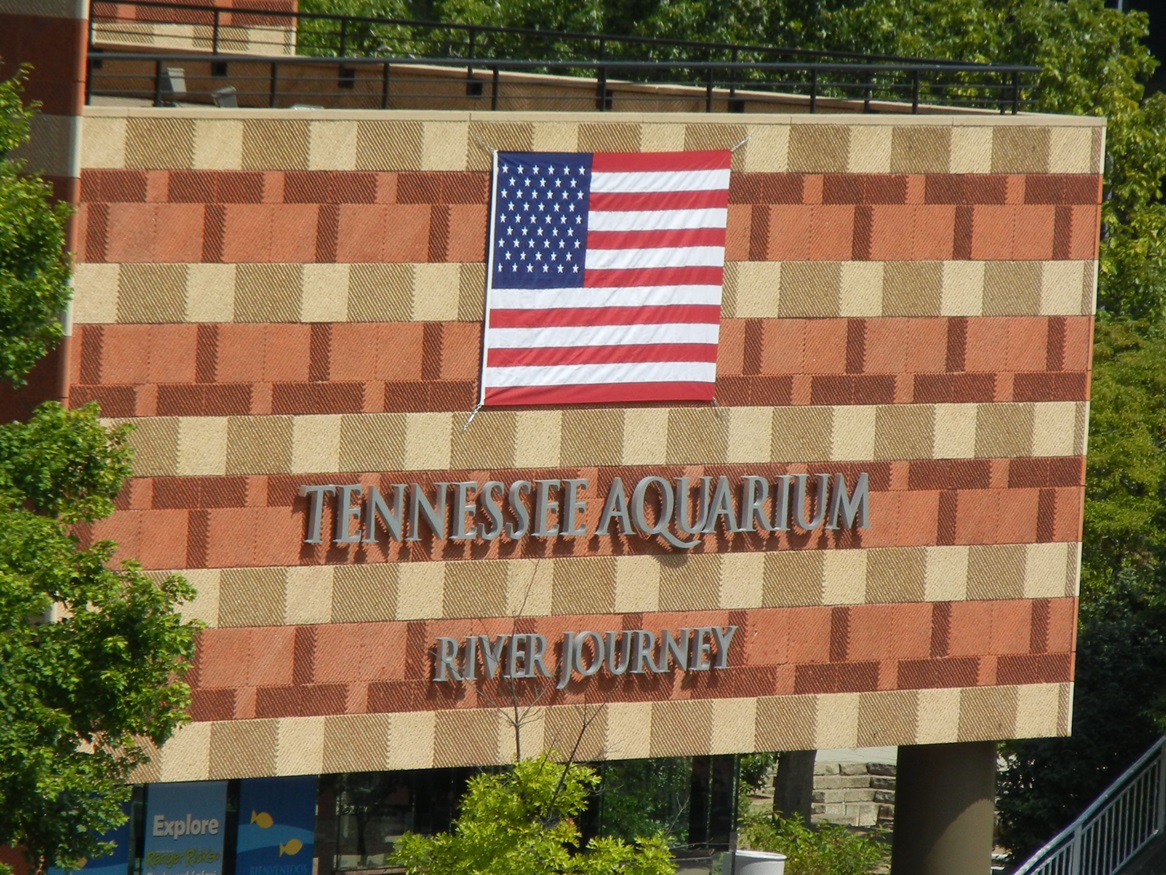 Things to do in Chattanooga Chattanooga’s 2013 July 4th Celebrations