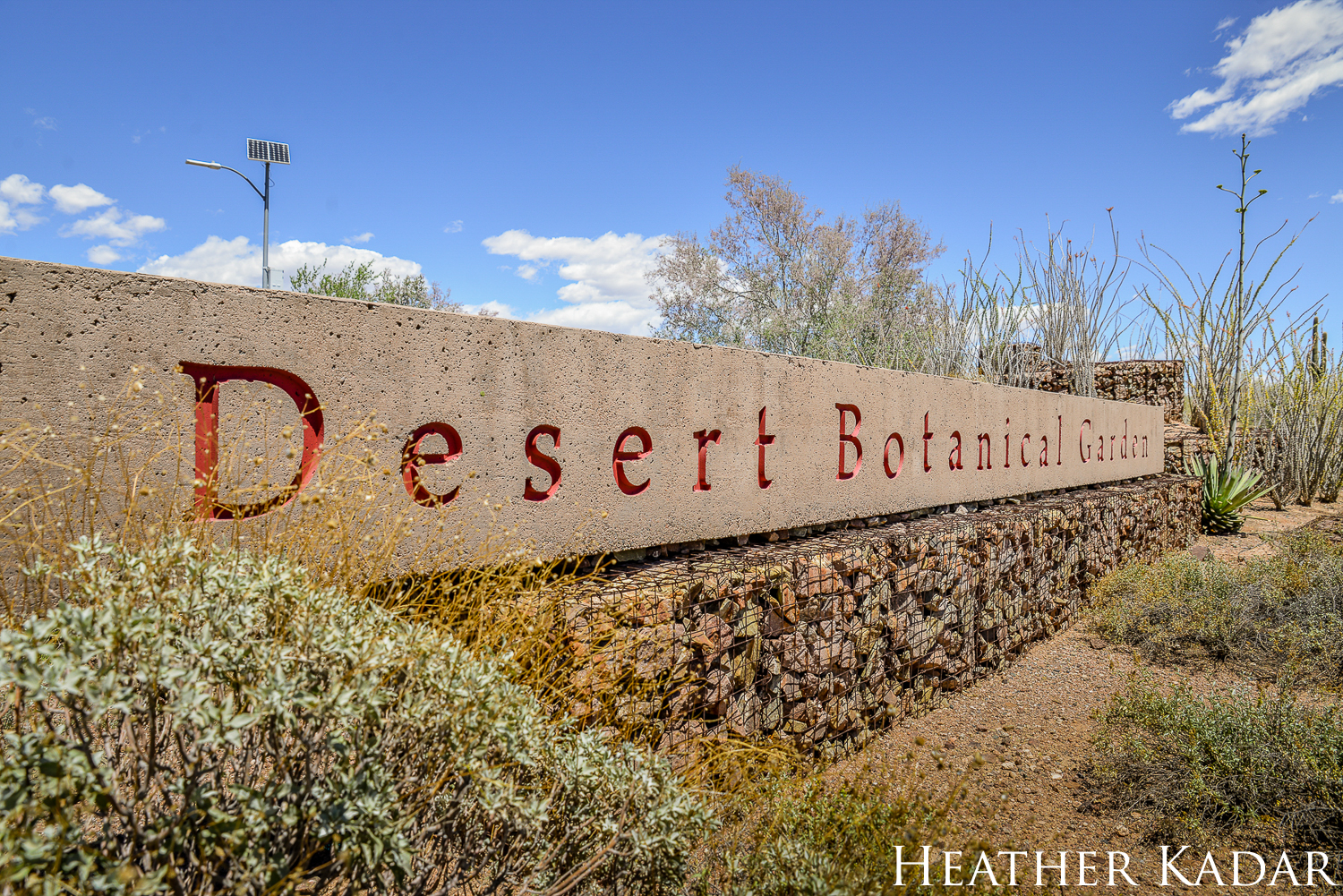 Elegant Military Wedding At Desert Botanical Garden