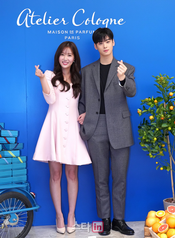 cha eun woo and im soo hyang relationship cha eun woo and im soo hyang relationship