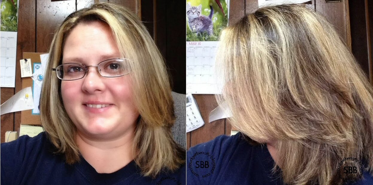 Small Budget Beauty Review L'Oreal Frost and Design Caramel Highlights