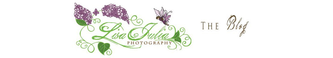 Virginia Photographer Lisa Julia Photography: The Blog