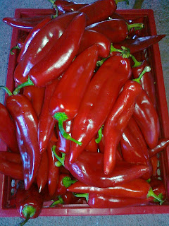 Cepkani ljuti ajvar - Kuvajmo srcem