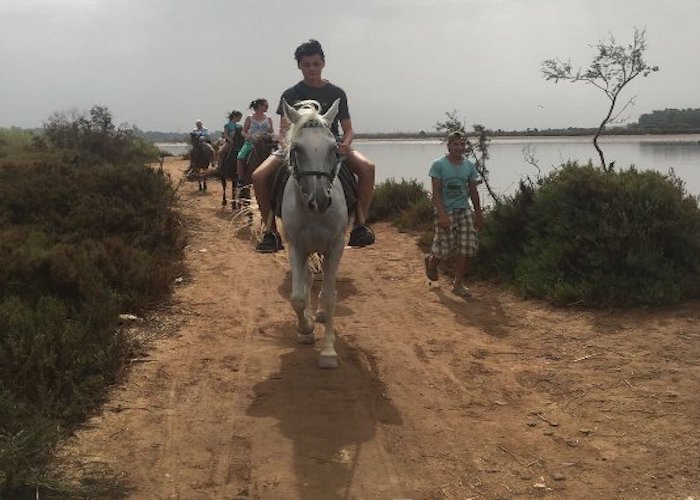 Horse Ride in Agadir (200 MAD) Moroccan ASLTrip