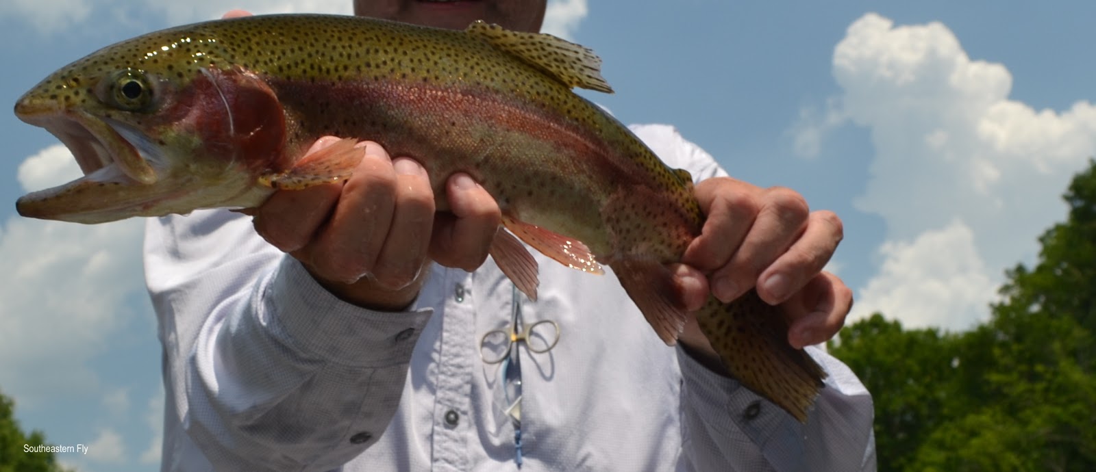 Southeastern Fly Fly Fishing Near Chattanooga