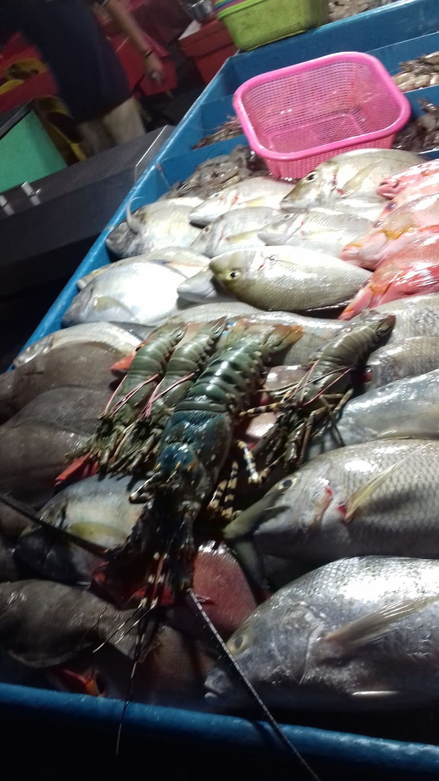 Life In Kota Kinabalu Tempat Makan Seafood Halal, Murah & Sedap Di