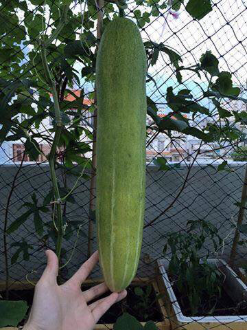 Nguong mo mo hinh VAC cua chang trai 9x o ngay trung tam Ha Noi - Anh 16