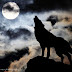 Inspiração animal: Lobo