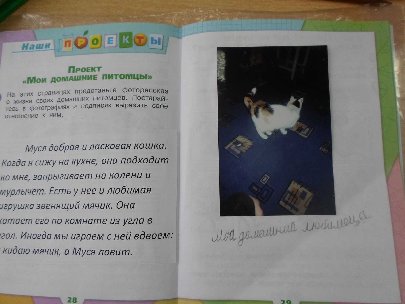 Совместный творческий проект на тему: "Наши меньшие друзья"