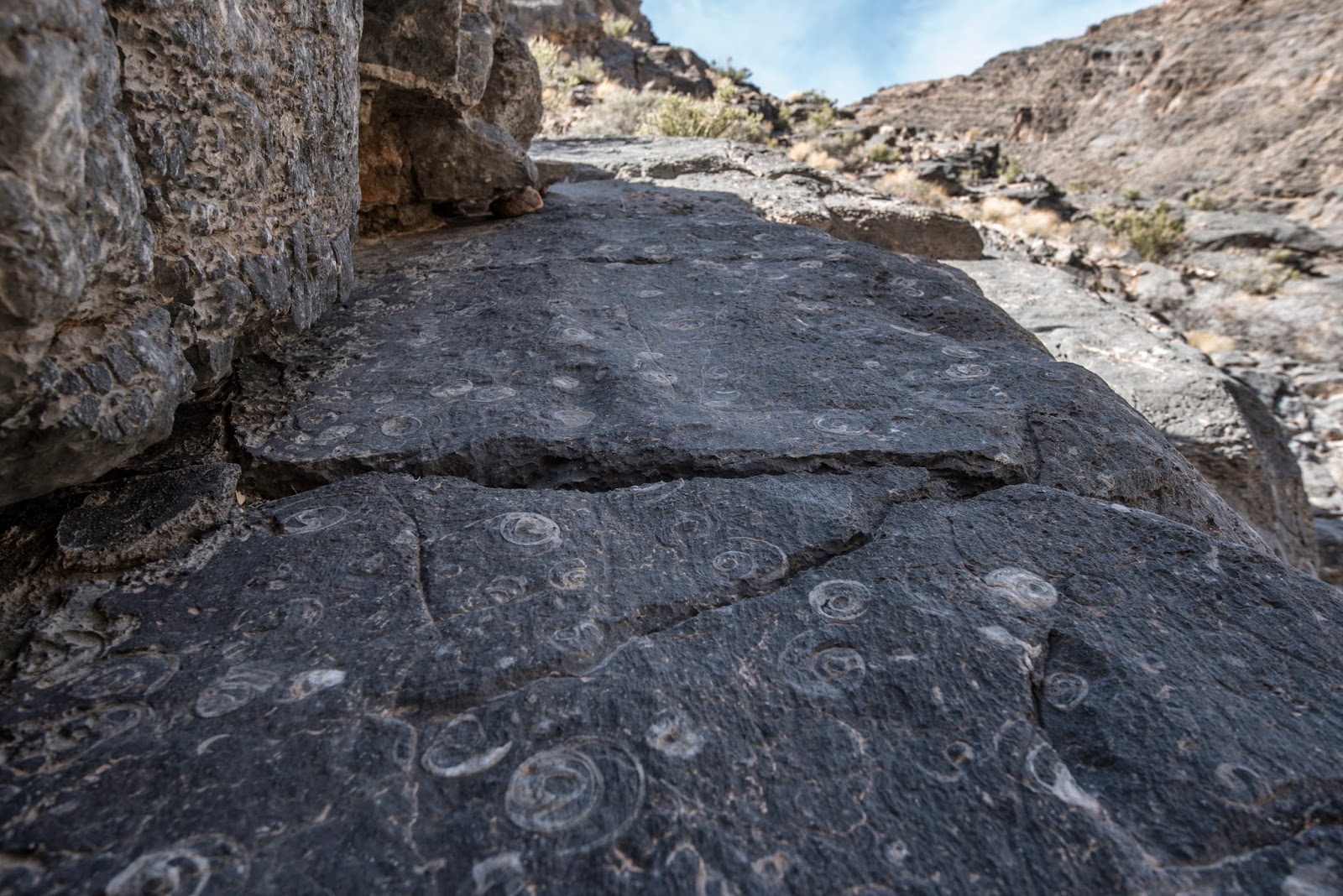 FOSSIL SNAIL CANYON, 3AIII. DEATH VALLEY NATIONAL PARK, CALIFORNIA
