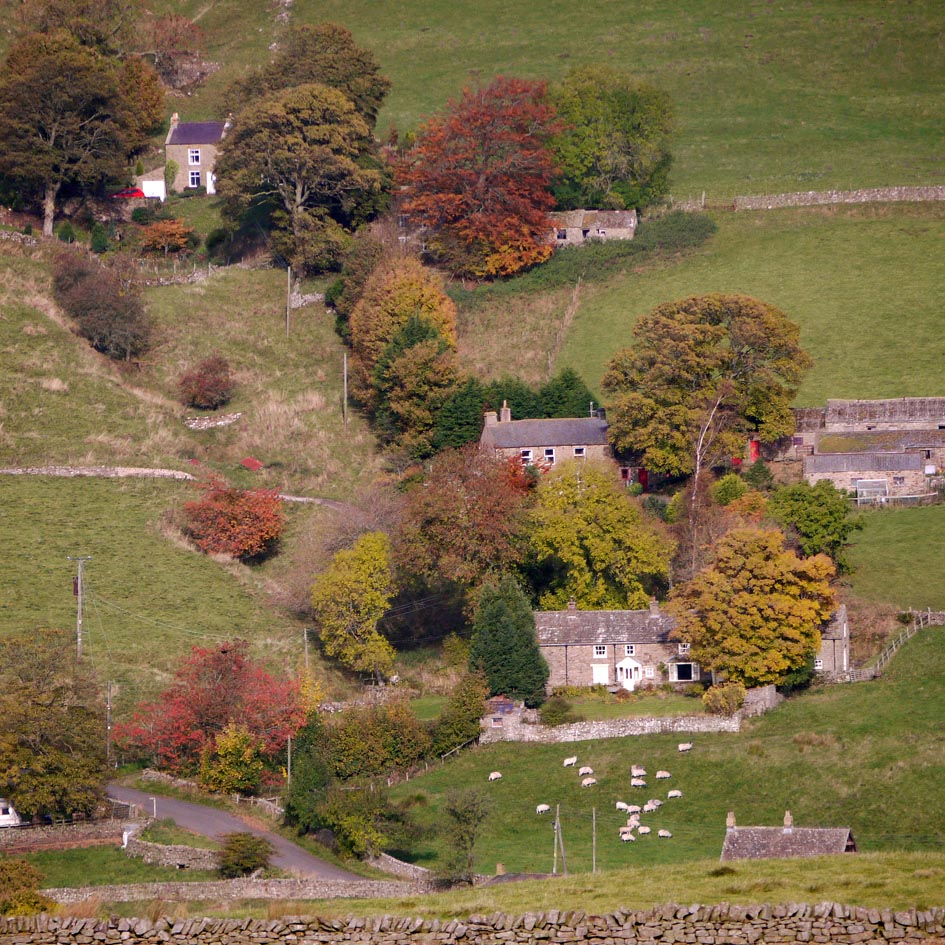 OF CURIOSITIES Autumn walk around St. John's Chapel in Weardale