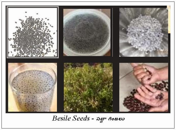 ఆహారము ఆరోగ్యము , Food & Health (Telugu) Basil Seeds సబ్జా గింజలు
