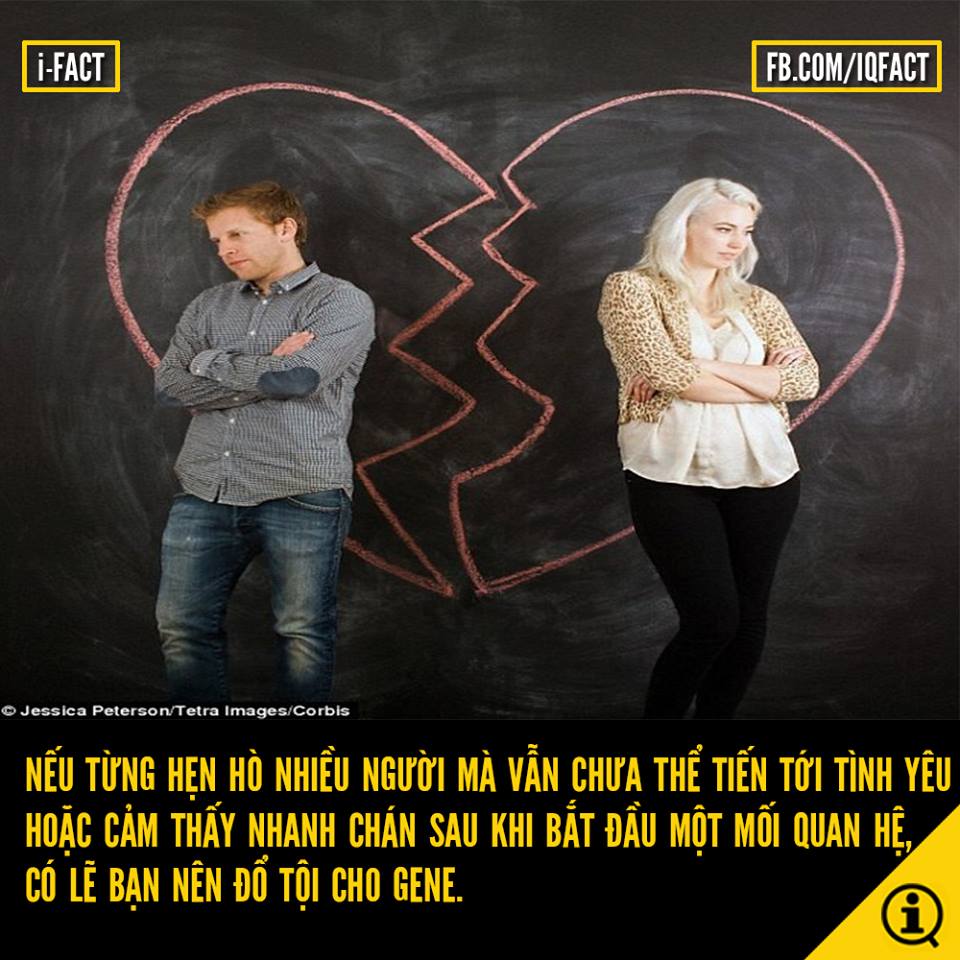 PHÁT HIỆN GENE F A?