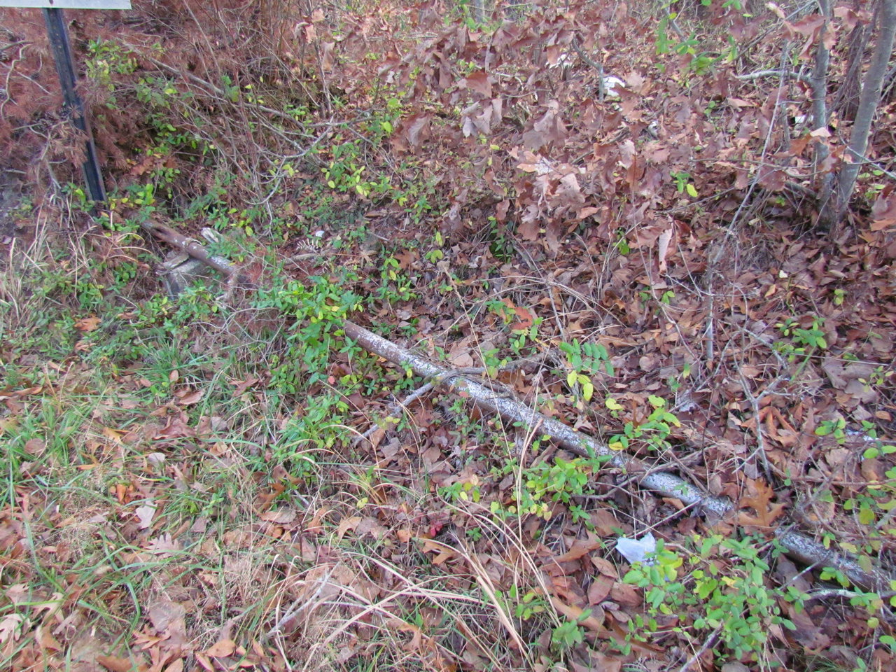 The Position Light The Gosts of Winslow Junction