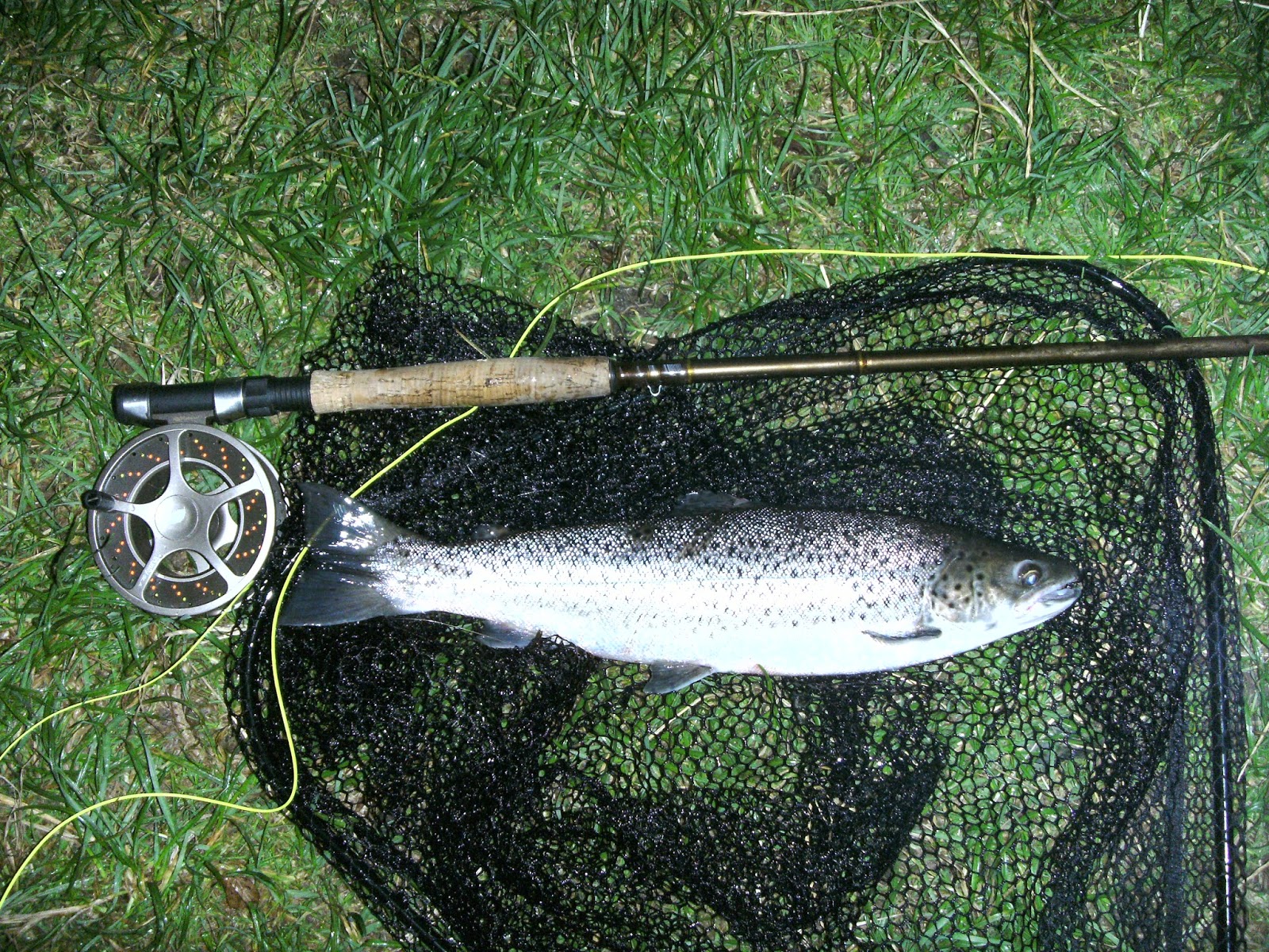 SALMON FISHING IRELAND 2022 Sea Trout on the Fly at Night.