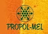 Propol-mel