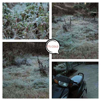 "Fields covered in frost and bikes with a layer of ice."