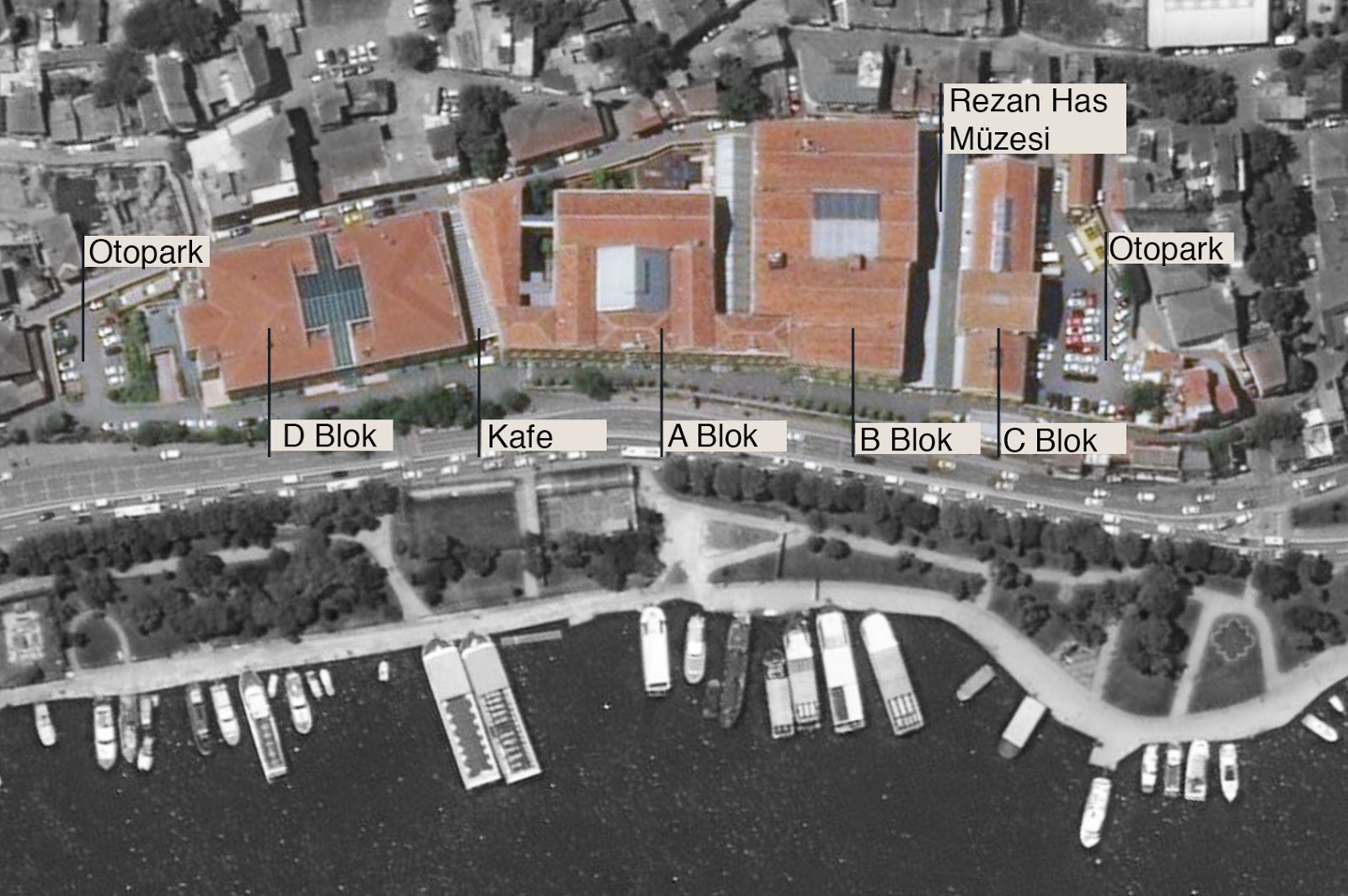 Campanula Alba Cibali Tutun Ve Sigara Fabrikasi Kadir Has Universitesi