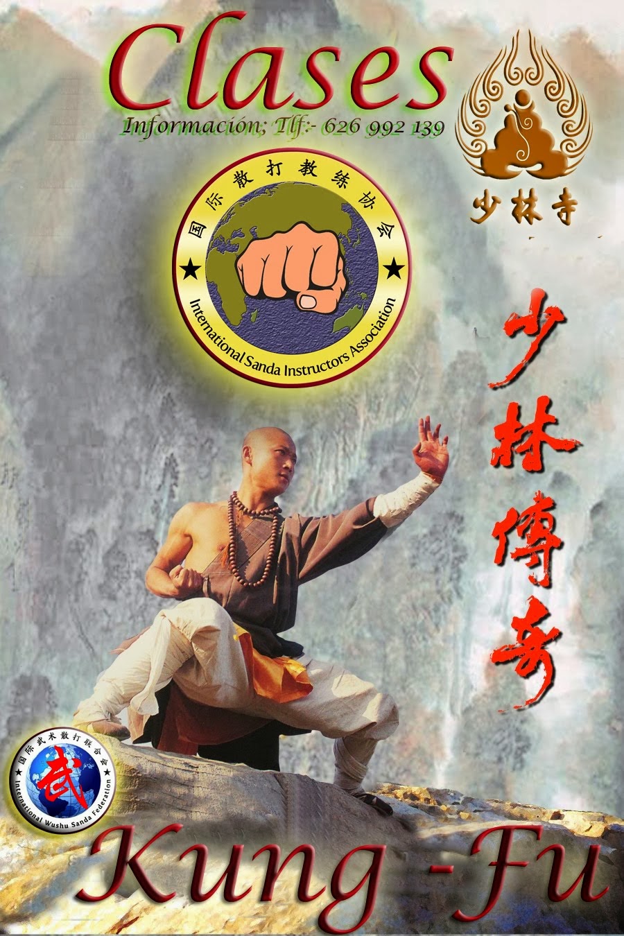 clases de kung fu y sanda 2014