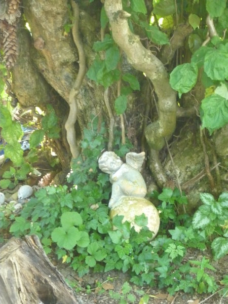 Be Veggie - get fit!: Pfirsich Limes