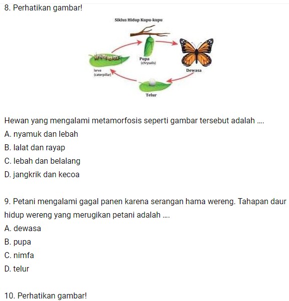 Lengkap Contoh Soal Latihan Un Ipa Sd Mi Ipa Dan Kunci Jawaban