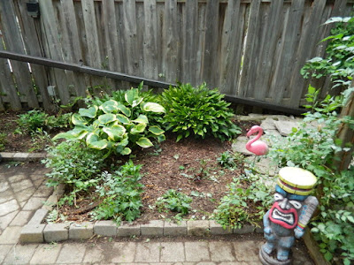 Broadview Danforth Toronto backyard clean up after by Paul Jung Gardening Services