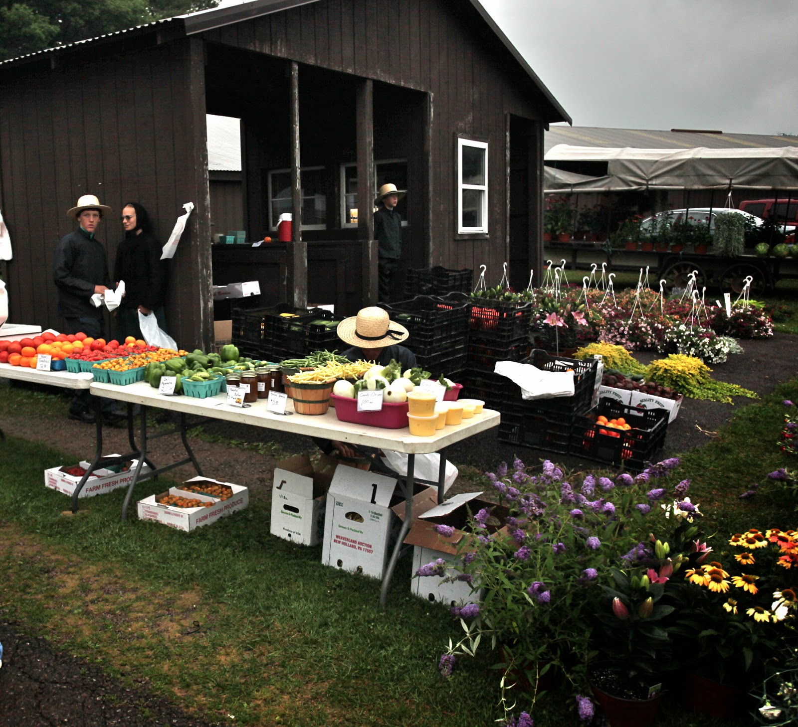 An Amish Market