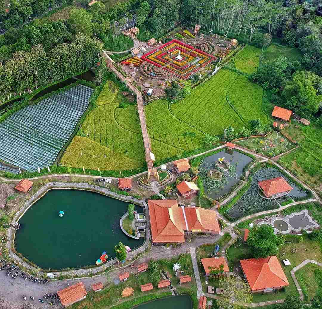 Kampung Flory Sleman, Spot Outbond Seru di Yogyakarta