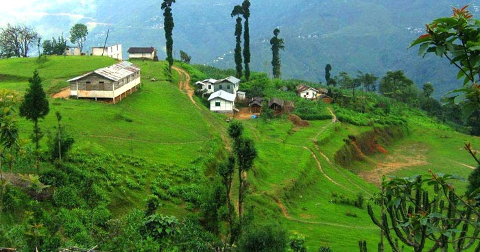 Darjeeling essay in english image