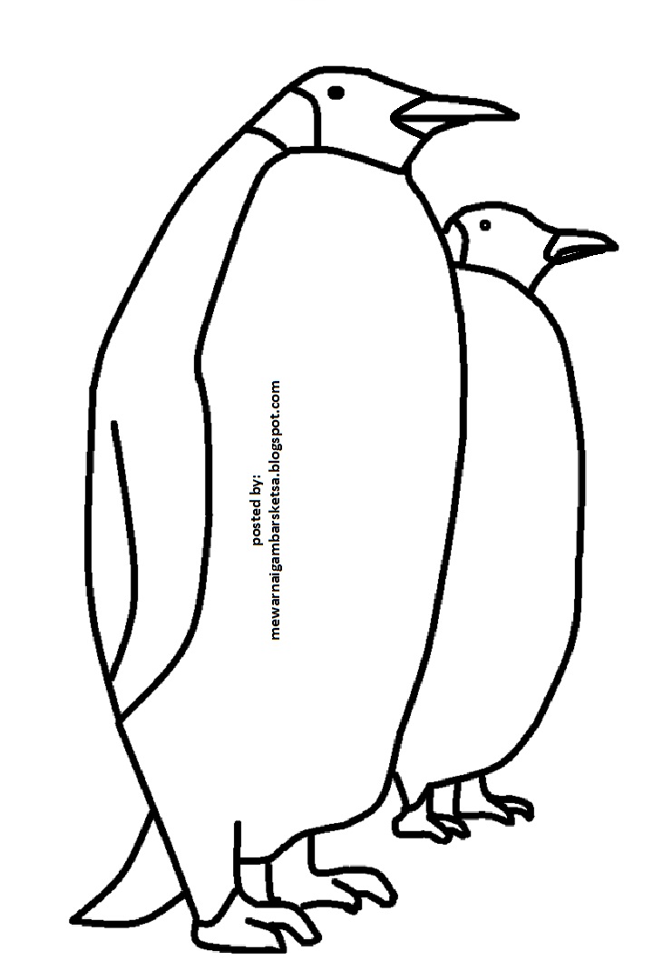 Mewarnai Gambar Mewarnai Gambar Sketsa Hewan Pinguin - vrogue.co