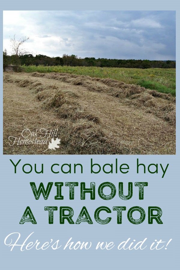 How We Bale Hay by Hand Oak Hill Homestead