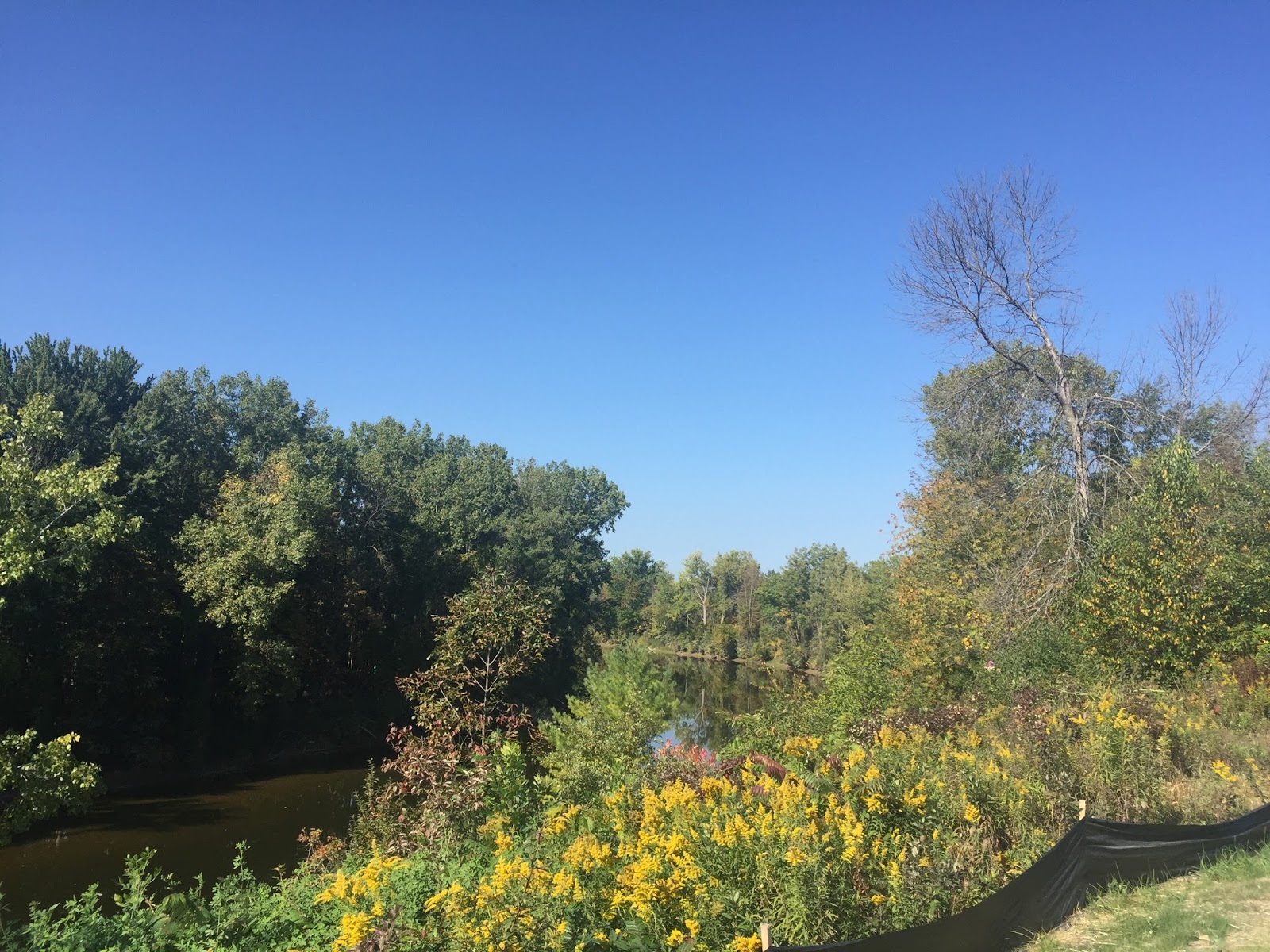 Travel Reviews & Information Midland County, Michigan / Black Creek