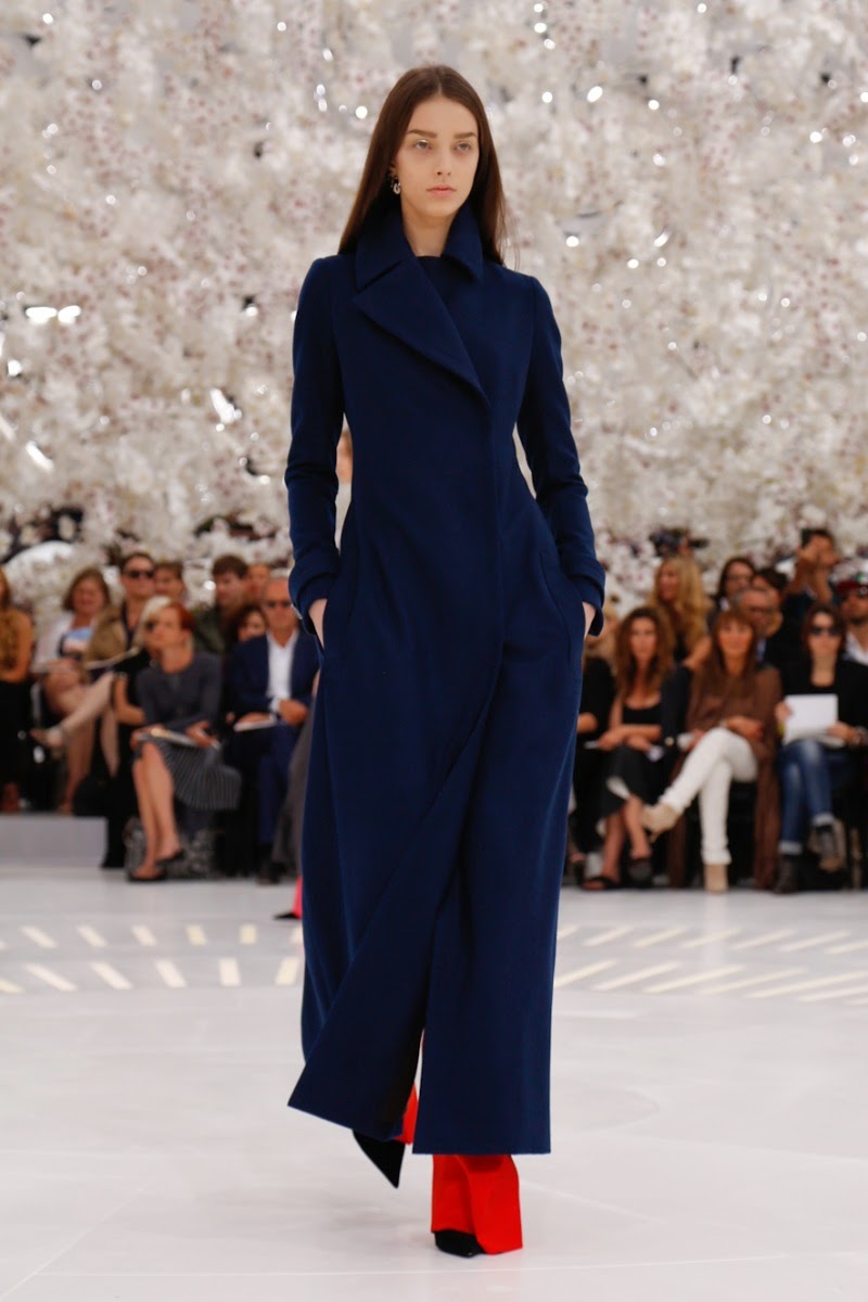Dior Couture Fall/Winter 2014 Collection