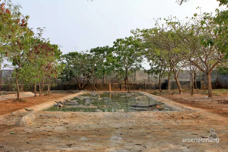 taman buaya tanjung pasir tangerang