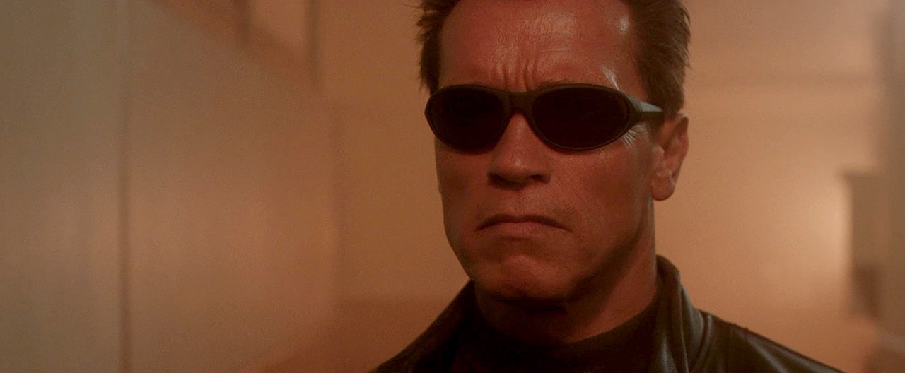 говорящий терминатор. терминатор 1984 арнольд. китайский терминатор шахматист. терминатор 3d модель. терминатор т 800 голова.