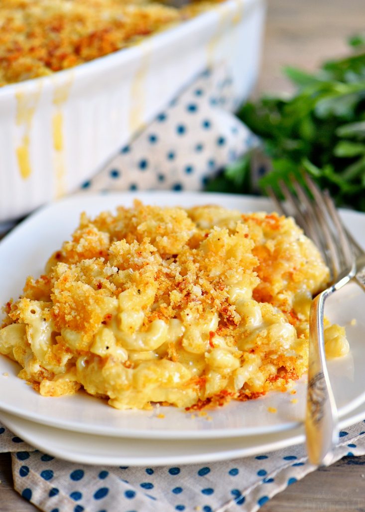 homemade macaroni and cheese recipe homemade macaroni and cheese recipe