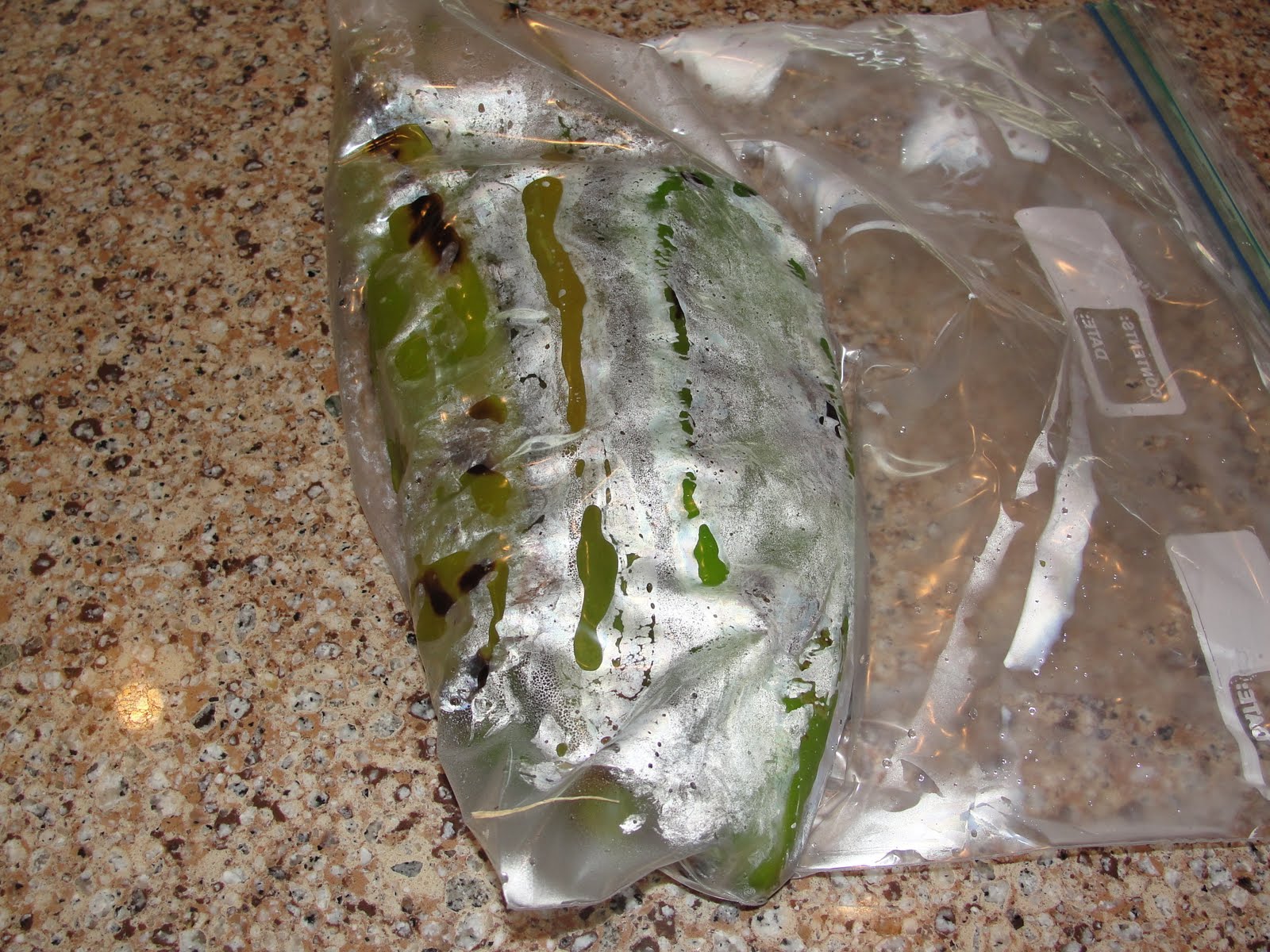 How to Roast and Freeze Hatch Chiles | The Plaid and Paisley Kitchen