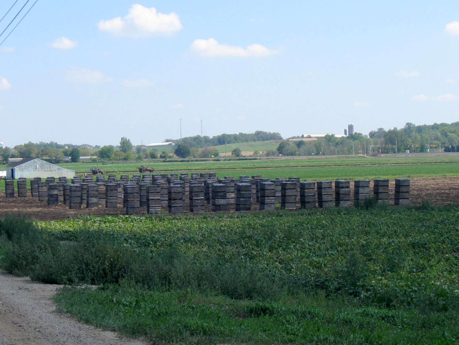 My Little Corner of the World Muck farm!