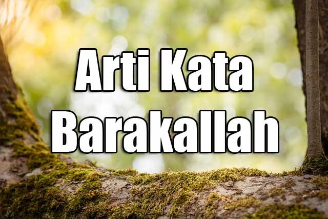 Inilah Arti Kata Barakallah Dengan Penjelasannya Warta Berita