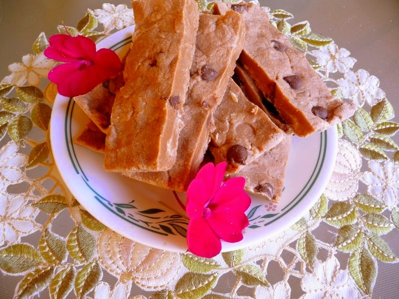 SPLENDID LOWCARBING BY JENNIFER ELOFF CHEWY, CANDYLIKE PROTEIN BARS