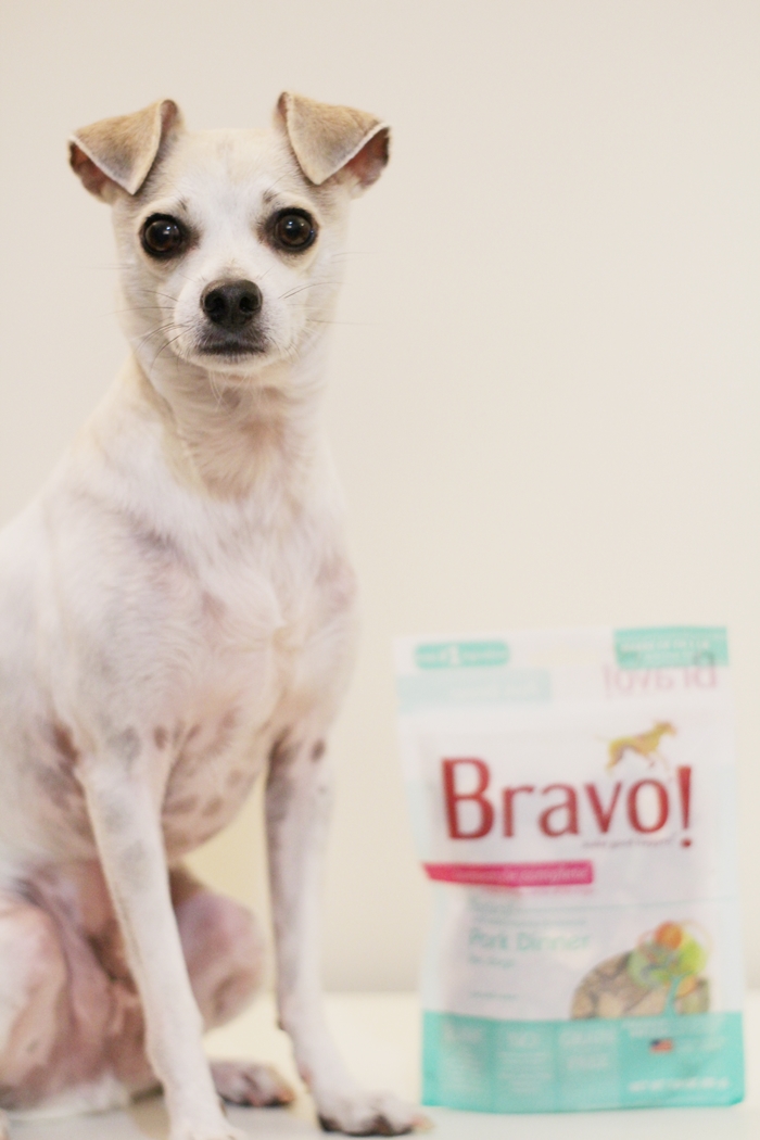 happyhazel Bravo Raw Dog Food Homestyle Complete Dinners Review