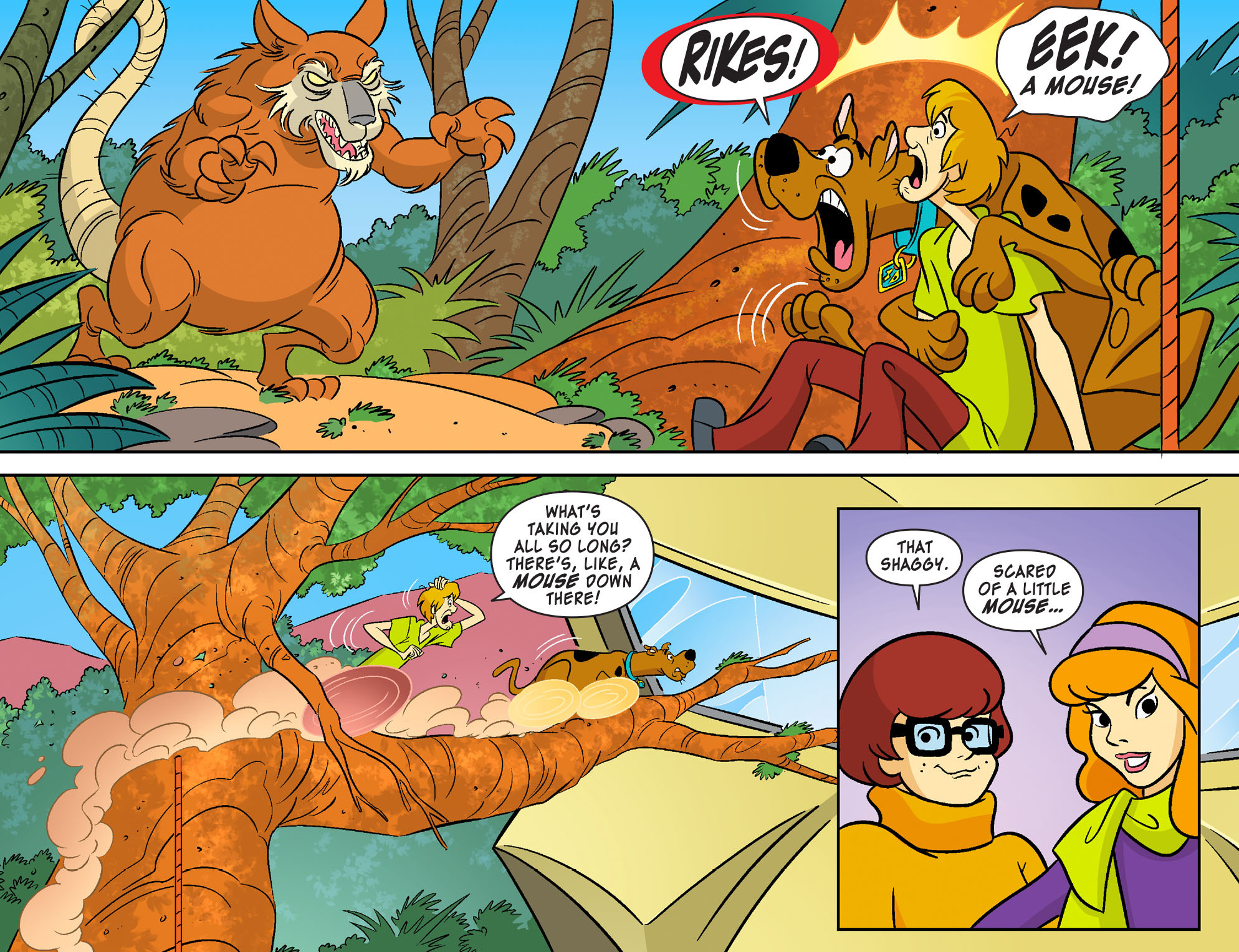 Read online Scooby-Doo! Team-Up comic -  Issue #20 - 15