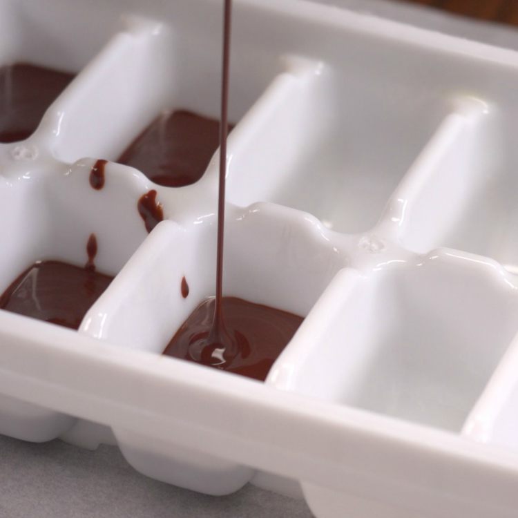 Homemade Ice Cube tray Chocolate