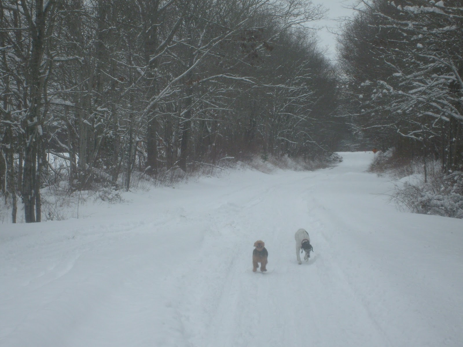 A Midnight Rider Kansas City and A Blizzard