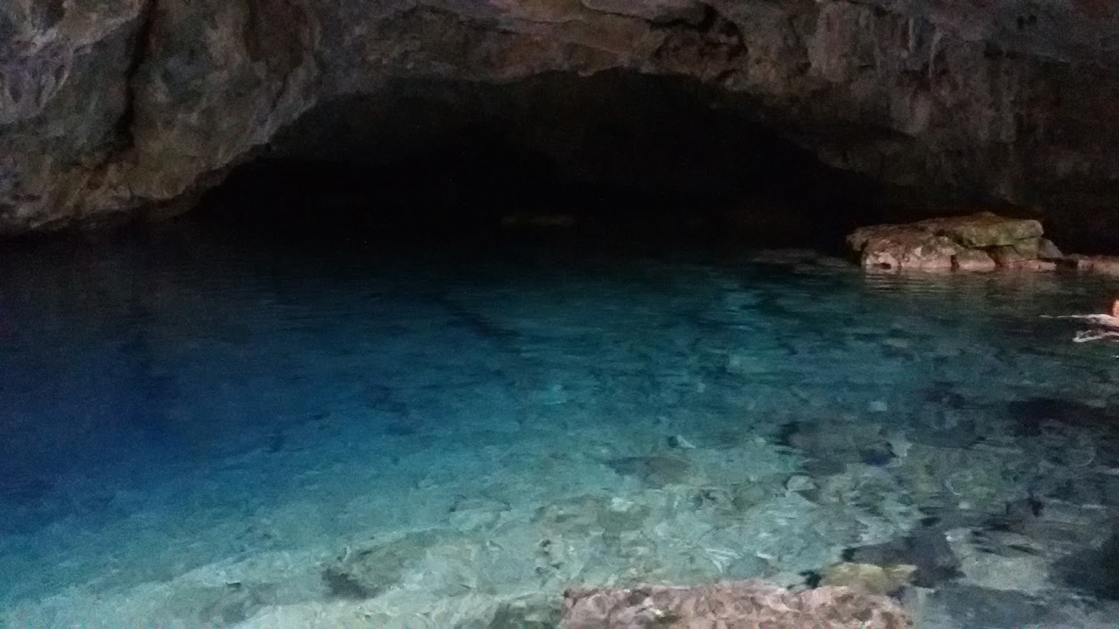 Banuk Yollarda Kusadasi Kirazli Zeus Milli Park