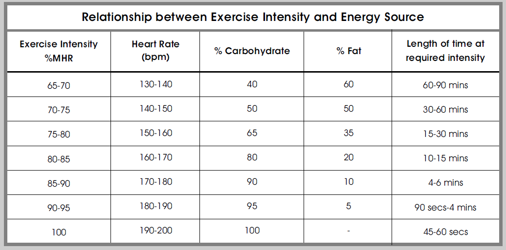 Evolution Running 101 Understanding Energy Sources