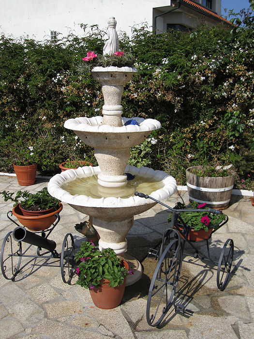 Mi Jardiny mi Huerto: Todo mi jardin